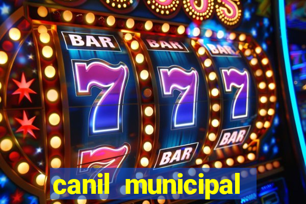 canil municipal porto alegre